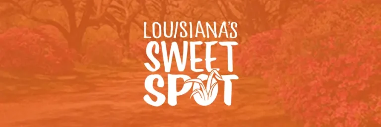 LA Sweet Spot featured image