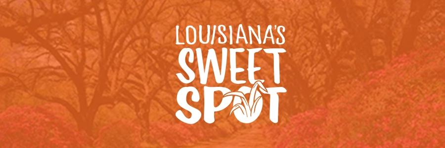 LASweetSpot featuredimage